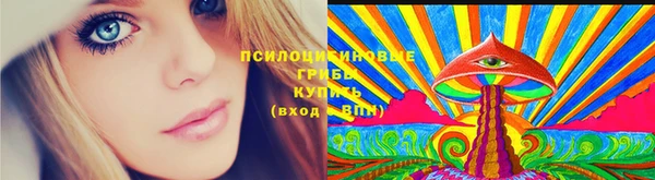 эйфоретик Ладушкин