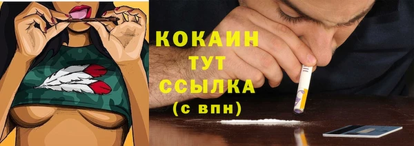 ПСИЛОЦИБИНОВЫЕ ГРИБЫ Лагань