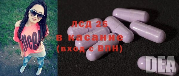 ПСИЛОЦИБИНОВЫЕ ГРИБЫ Лагань