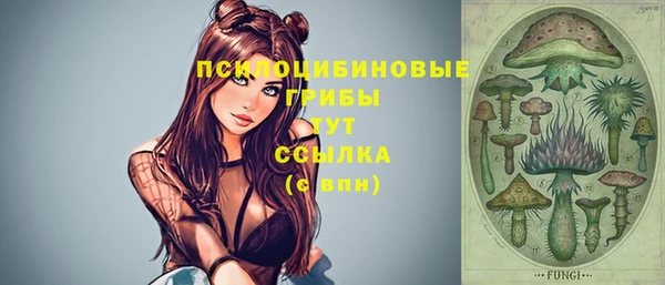 эйфоретик Ладушкин