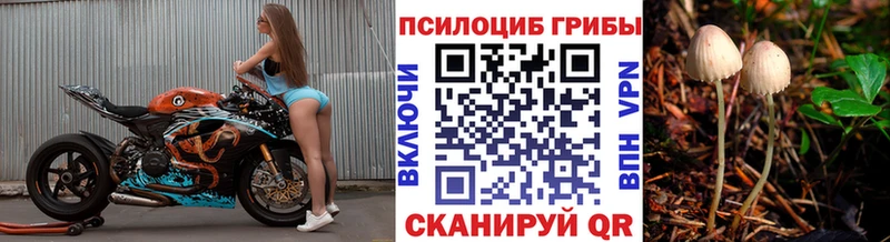 Купить  Северобайкальск  Галлюциногенные грибы мухоморы 