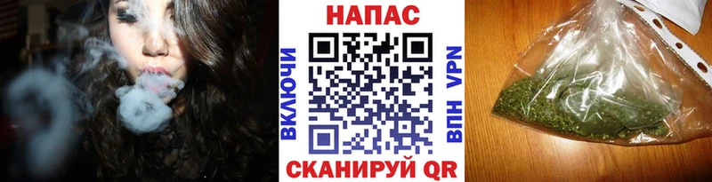 Купить закладки  Северобайкальск  Бошки Шишки THC 21% 